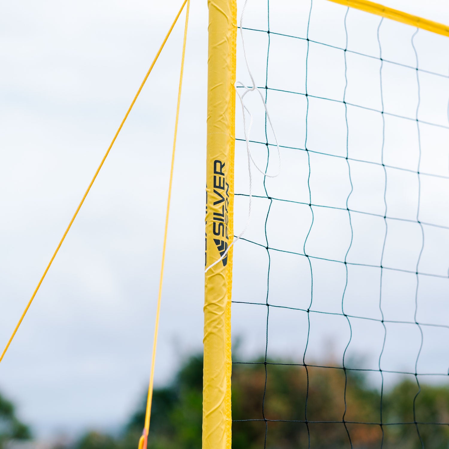 Volleyball – Silver Fern