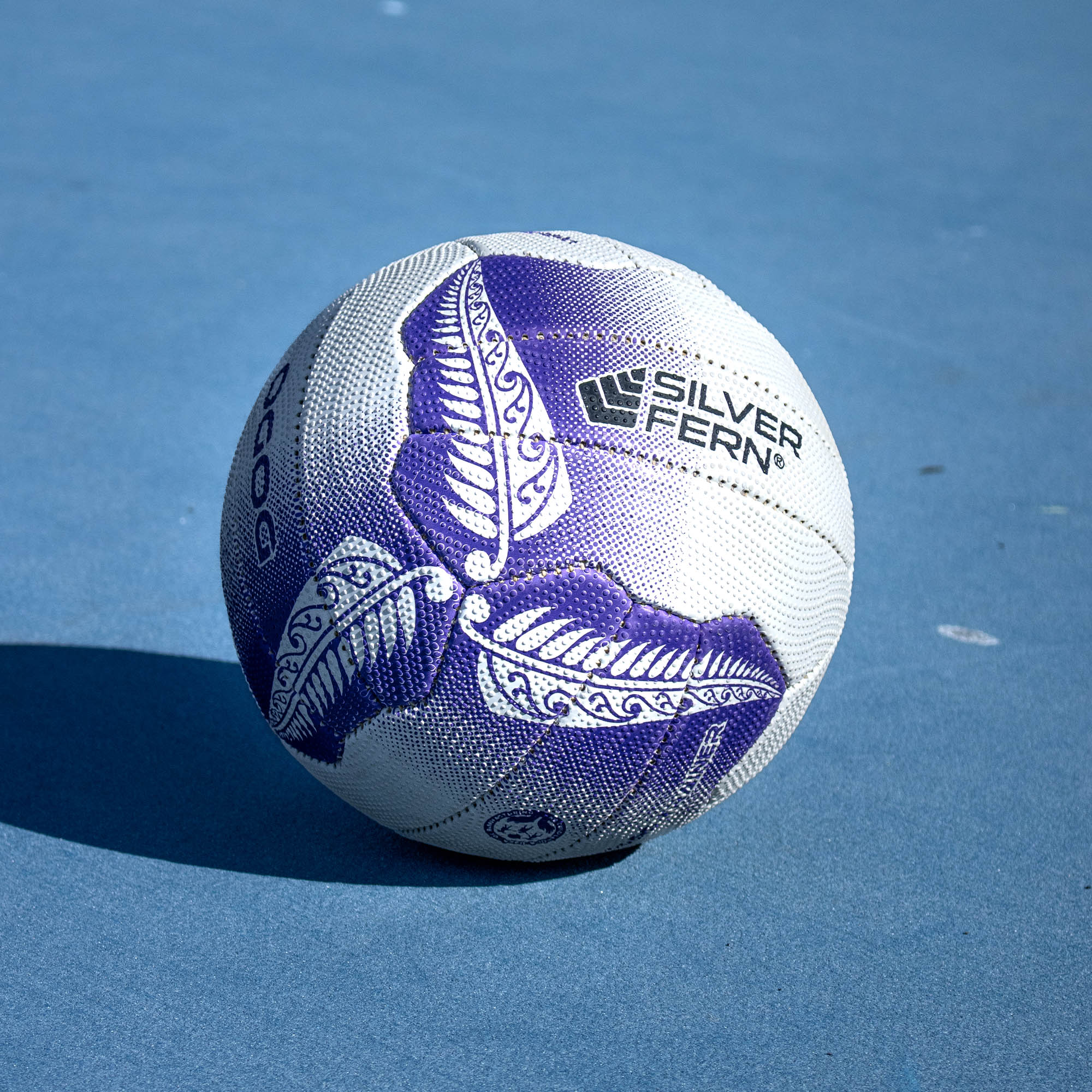 Rebounder Net + Netball Weighted Pass Trainer